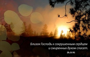 10935726_904276956278520_678407660_o